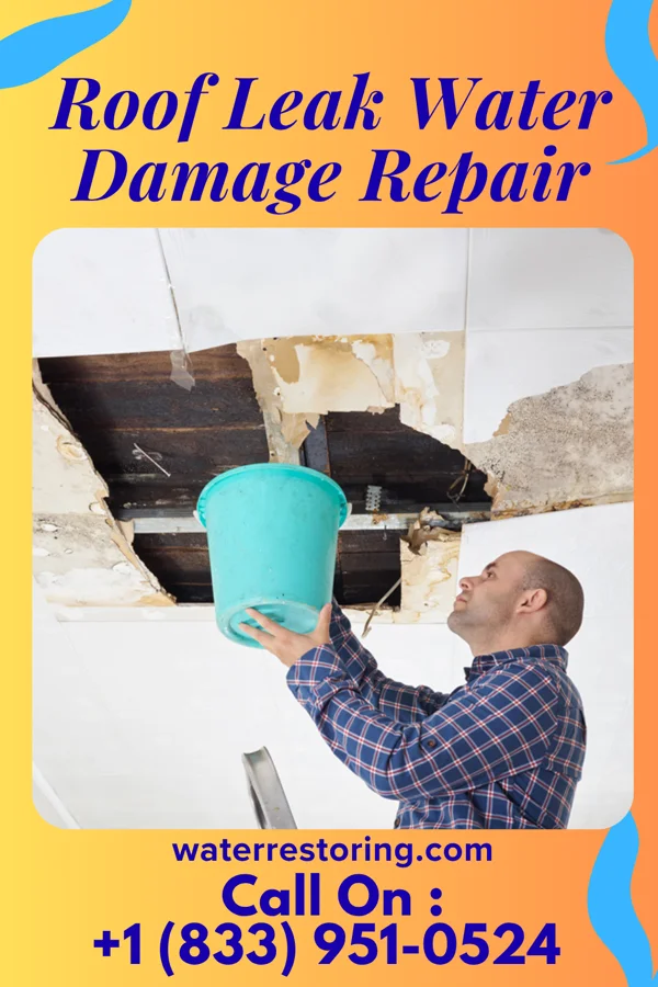 Roof Leak Water Damage Repair in Custar, OH
