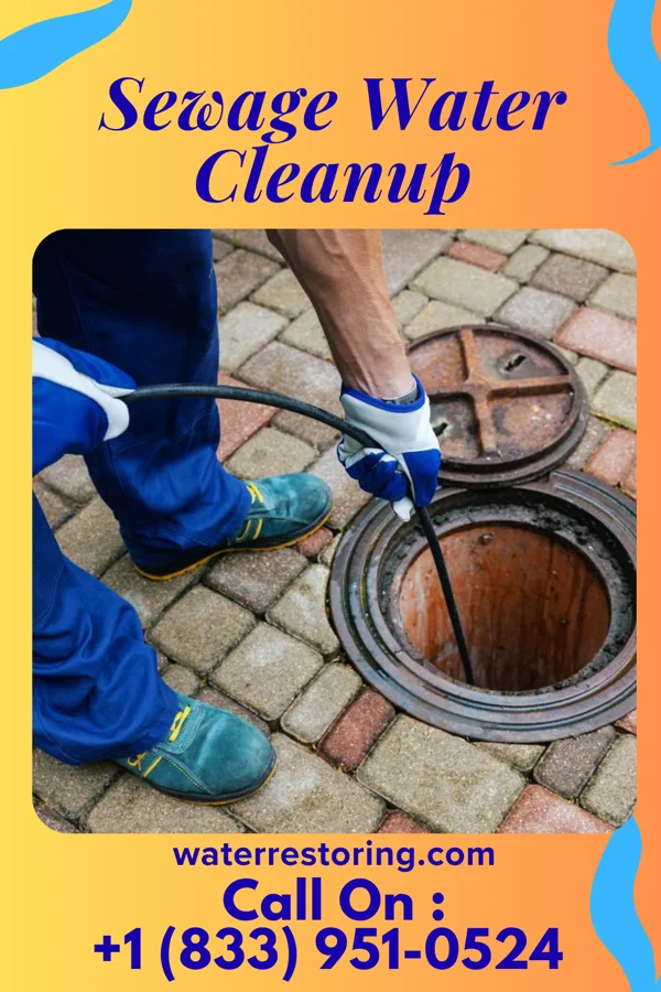 Sewage Water Cleanup in Custar, OH
